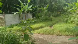Dijual Lahan Murah Akses Mobil di Cileungsi