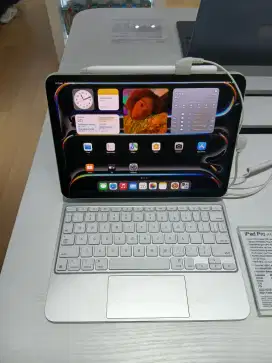 ipad pro(11-inch model)
