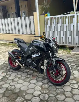 Kawasaki Z250, Tahun 2013