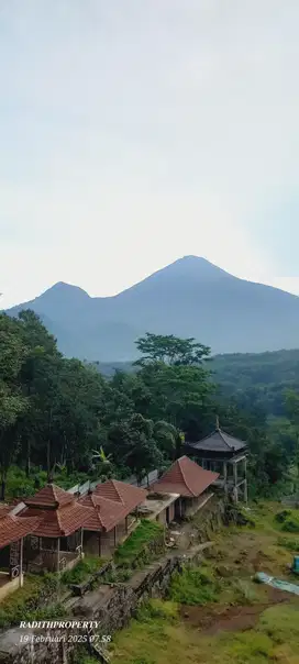 DI JUAL KEBUN DURIAN WISATA TRAWAS PANORAMA GUNUNG