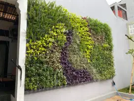 Jasa tukang taman vertical garden & jasa renofasi taman