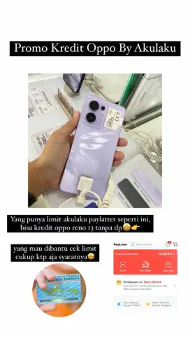 Oppo reno 13 8+8/256