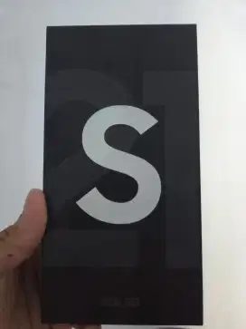 DUS samsung S21+