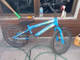 Sepeda anak senator