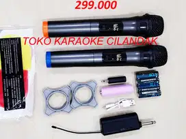 MICROPHONE WIRELESS SIMPLE 2MIC