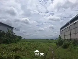 Tanah SHM Sangat Luas 1 jt Per Meter Pantura Kudus Pati Margorejo