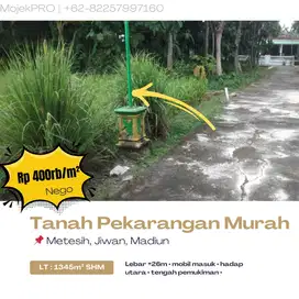 dijual Tanah pekarangan murah di Metesih Jiwan