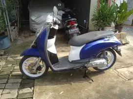 Honda scoopy 2012