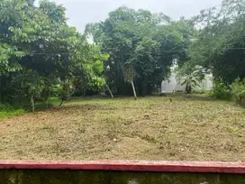 BISMILLAHIROHMANIRROHIM_JUAL Tanah Premium Murah Dekat Cebongan Seyega