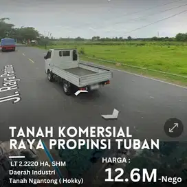Tanah Jl.Ry Propinsi (Jurusan Babat arah Tuban 0 Jalan Raya Pantura)