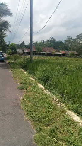 sawah view cantik di pakem