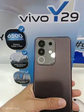 VIVO Y29 6500mAh