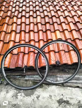 Wellset alexrims roadbike