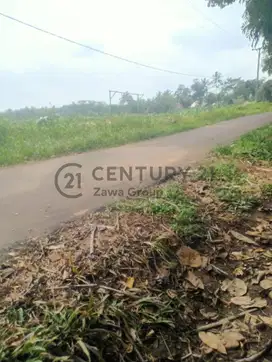 Dijual Tanah Peternakan Di Cikulur Lebak Banten