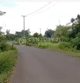 Dijual Tanah Peternakan Di Lebak Banten