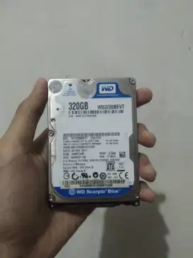 Jual Harddisk bekas laptop WD Blue 320GB