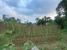 tanah 759 shm bitung sari ciawi