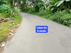 Jual tanah kebun murah nanggung lewiliang bgr