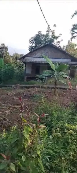Dijual: Tanah Kosong di Daerah Jonggol, Bogor