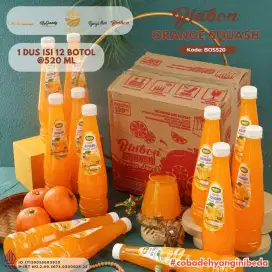 BINBON ORANGE SQUASH (BOS520)