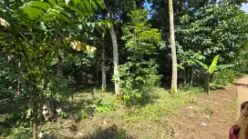 Jual Tanah Cepat 1.000.000 ( Nego ) Cileungsi