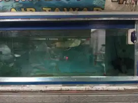 Jual aquarium full set tinggal colok