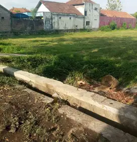 Disewakan sawah kering Tepi jl raya Parangtritis km 9 tembi