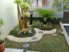 Tukang taman dan jasa pasang rumput