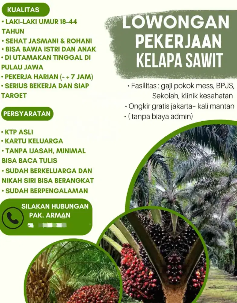 Lowongan kerja perawatan sawit
