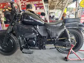 Ninja 250 custom bobber harley davidson