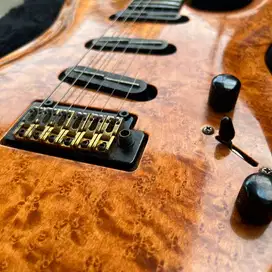 Godin Artisan ST Stratocaster - AAA Maple Top - Birds Eye Neck