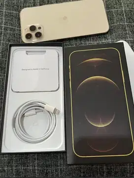 Iphone 12 Pro Max 5G 256 Gold Dual Sim Fisik Full Set Resmi Bea Cukai