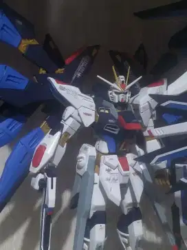 Mg strike freedom bandai