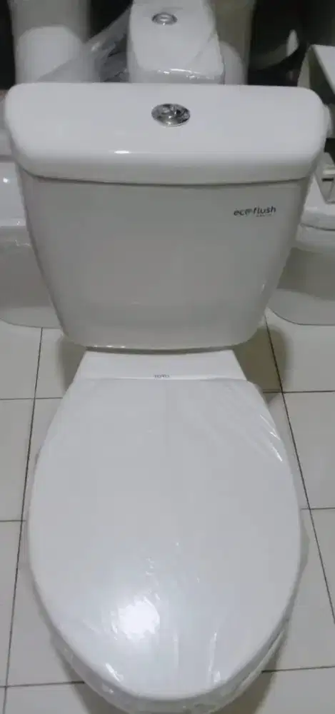 Kloset Toto type CW660NJ ECO flush.