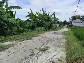 dijual tanah milik sendiri