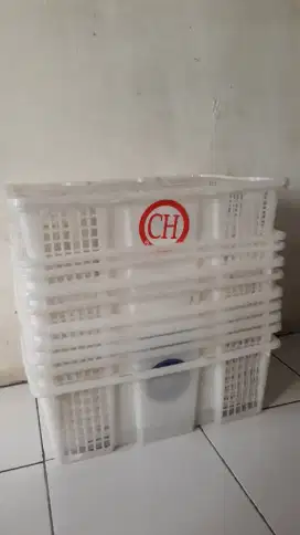 Keranjang kelengkeng