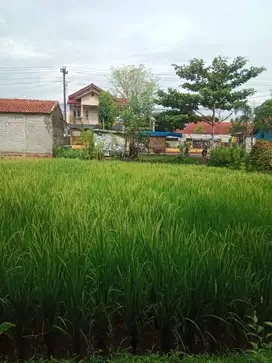 Tanah Produktif dijual cepat