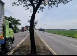 Dijual Tanah sawah pinggir jalan utama 4000m² bisa untuk usaha