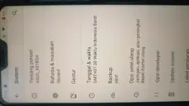 Asus Zenfone max pro M2