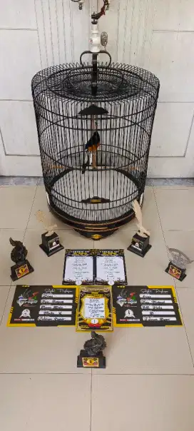 Murai Batu Prestasian