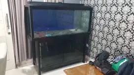 Aquarium Jumbo / Akuarium