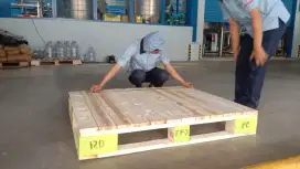 Pallet Kayu Costum