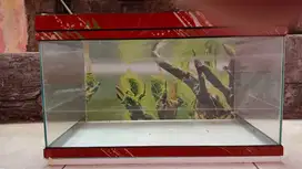 Mini Aquarium Set Komplit