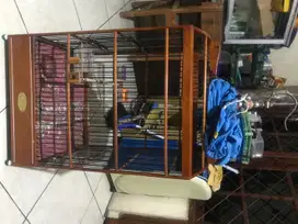 kandang kotak no 2 cms