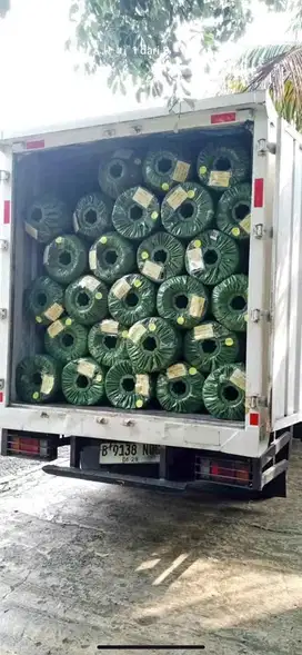 Karpet Rumput Sintetis 1 Roll 50M 2x25m