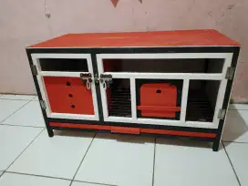 Burung dara merpati tinggian kencang