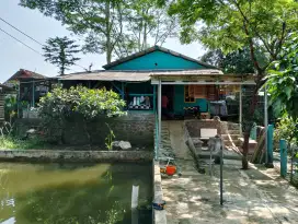 Di jual tanah, dan  kolam ikan