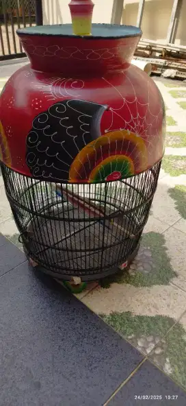 Kandang burung perkutut