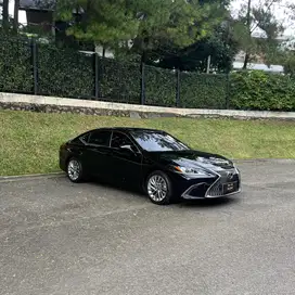 Lexus ES 250 Ultra Luxury Sedan 2020