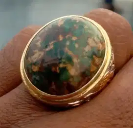 Pirus Persia hijau urat emas